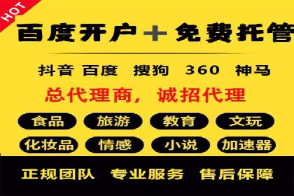 深入解析SEM账户竞价运营成功案例